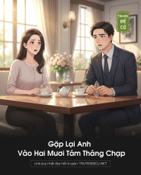 Gặp Lại Anh Vào Hai Mươi Tám Tháng Chạp