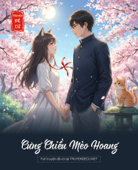 Cưng Chiều Mèo Hoang