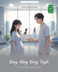 Bông Hồng Bằng Tuyết