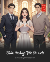 Chim Hoàng Yến Sa Lưới