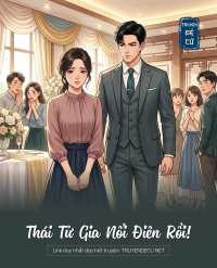 Thái Tử Gia Nổi Điên Rồi!