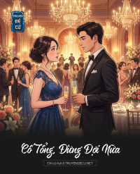 Cố Tổng, Đừng Đợi Nữa