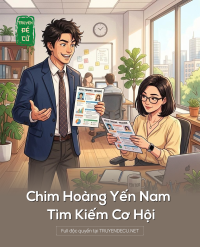 Chim Hoàng Yến Nam Tìm Kiếm Cơ Hội