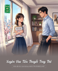 Xuyên Vào Tiểu Thuyết Truy Thê