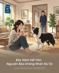 Bảy Năm Kết Hôn, Nguyên Bảo Không Nhận Ra Tôi