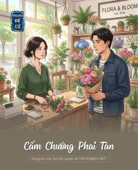 Cẩm Chướng Phai Tàn