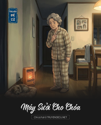 Máy Sưởi Cho Chóa