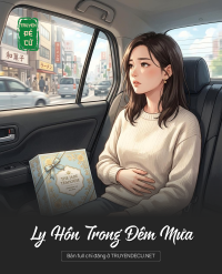Ly Hôn Trong Đêm Mưa
