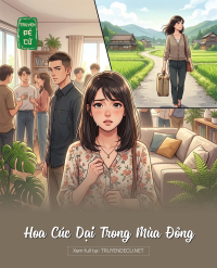 Hoa Cúc Dại Trong Mùa Đông