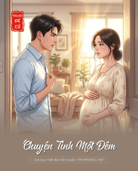Chuyện Tình Một Đêm