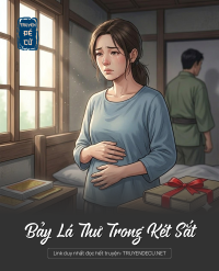 Bảy Lá Thư Trong Két Sắt