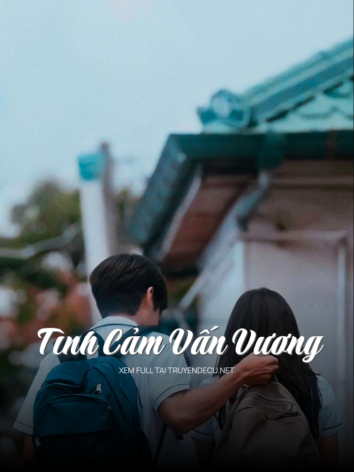 
                            Tình Cảm Vấn Vương