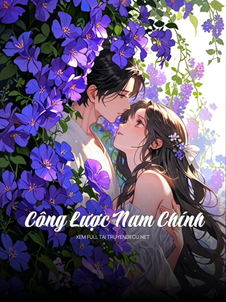 Công Lược Nam Chính