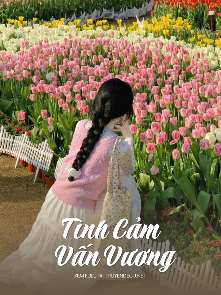 
                            Tình Cảm Vấn Vương