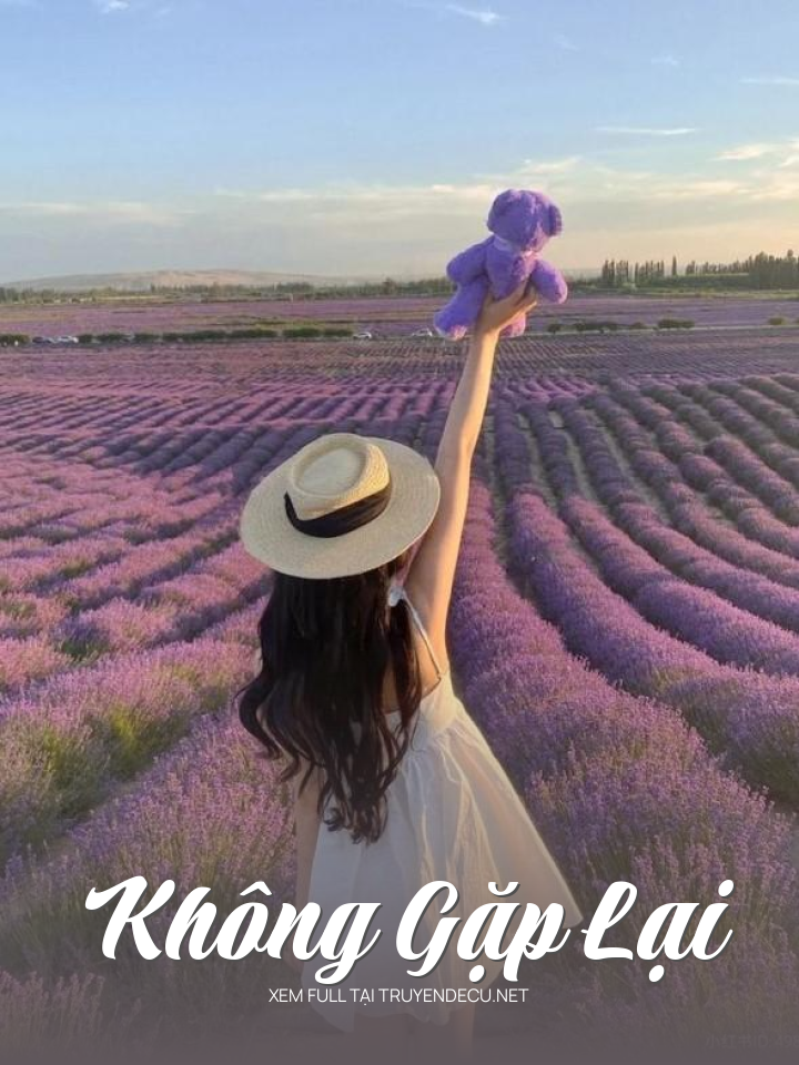 
                            Không Gặp Lại