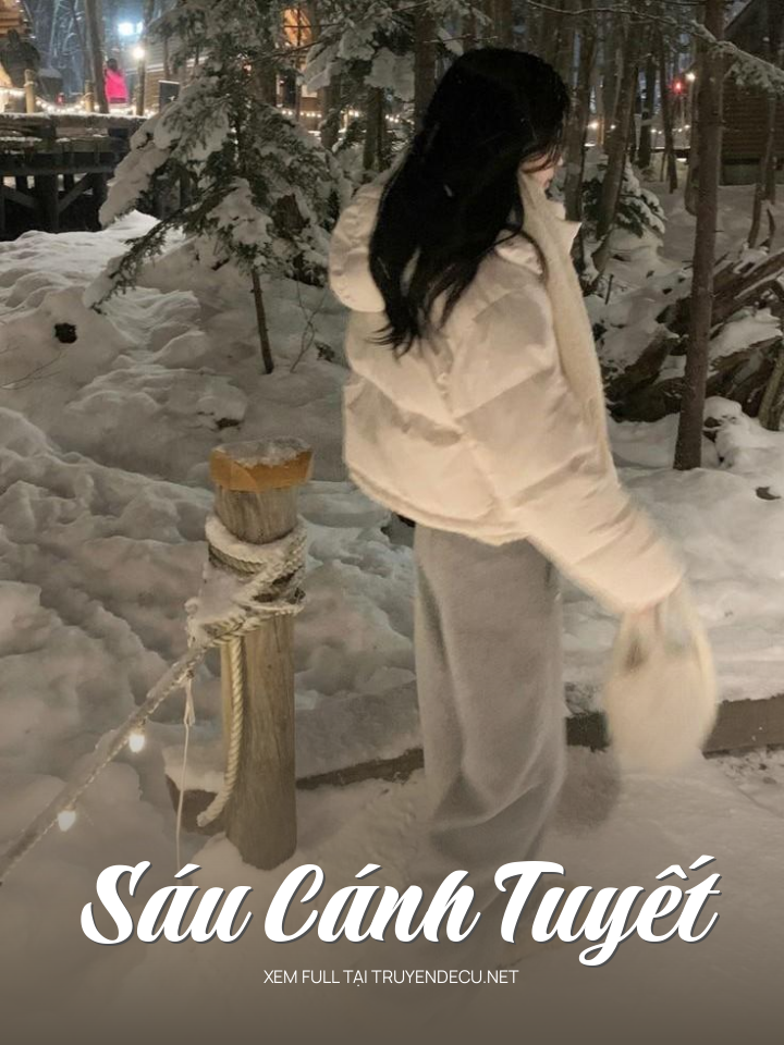 
                            Sáu Cánh Tuyết