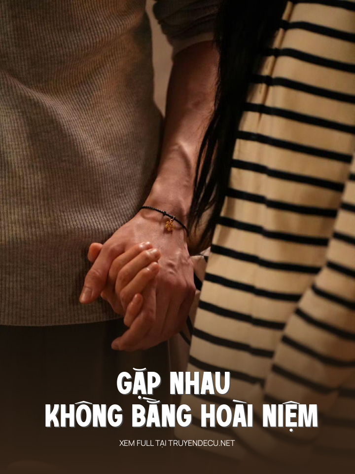 
                            Gặp Nhau Không Bằng Hoài Niệm