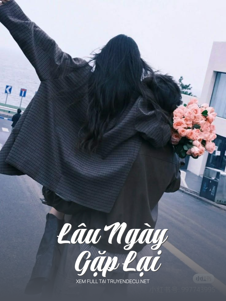 
                            Lâu Ngày Gặp Lại