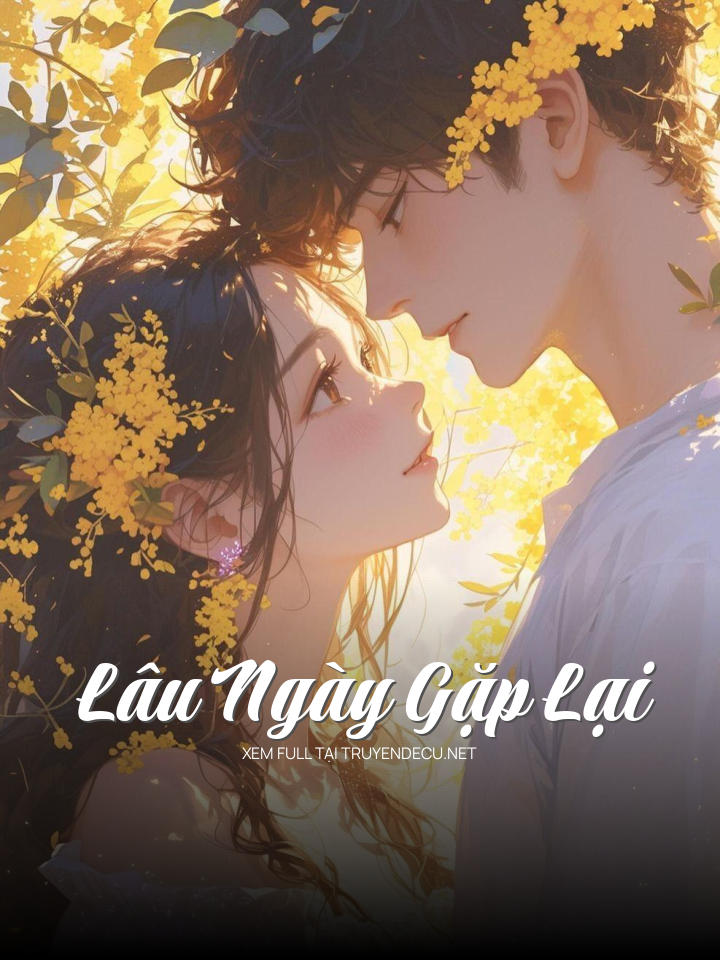 
                            Lâu Ngày Gặp Lại