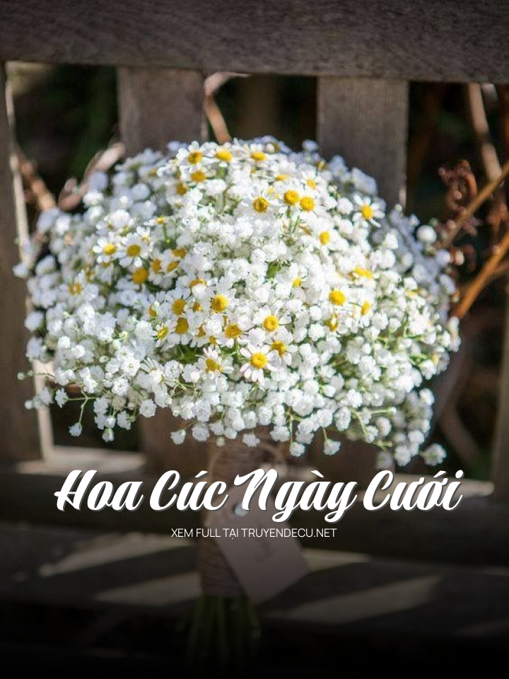 
                            Hoa Cúc Ngày Cưới