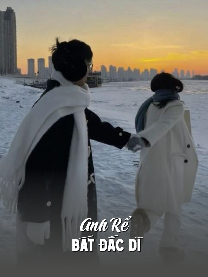 
                            Anh Rể Bất Đắc Dĩ
