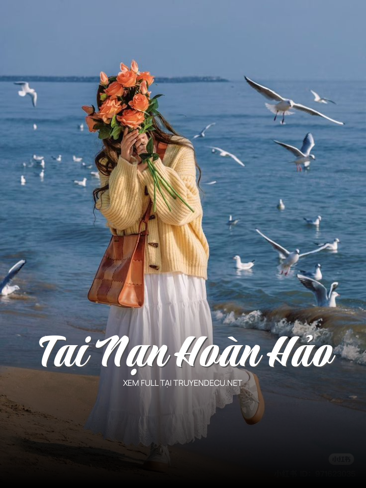 
                            Tai Nạn Hoàn Hảo