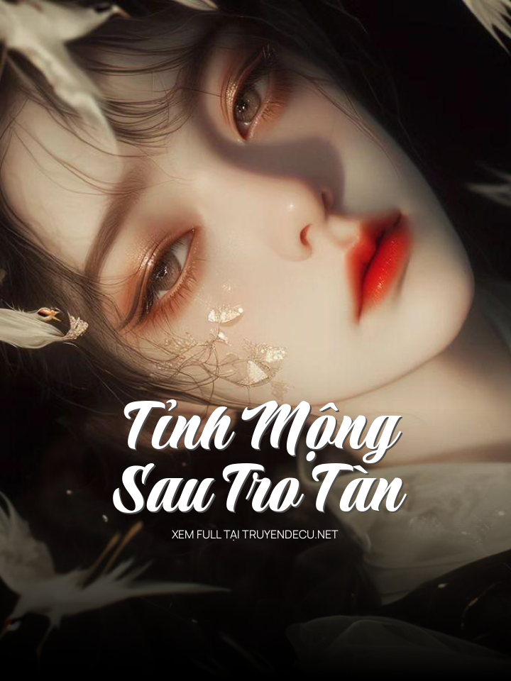 
                            Tỉnh Mộng Sau Tro Tàn