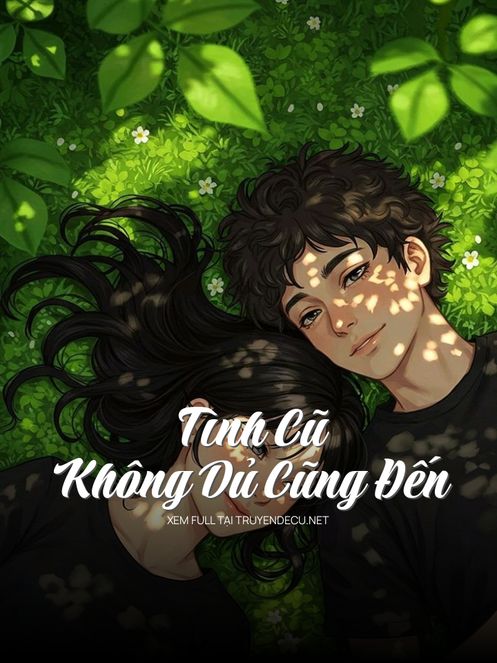 
                            Tình Cũ Không Dủ Cũng Đến