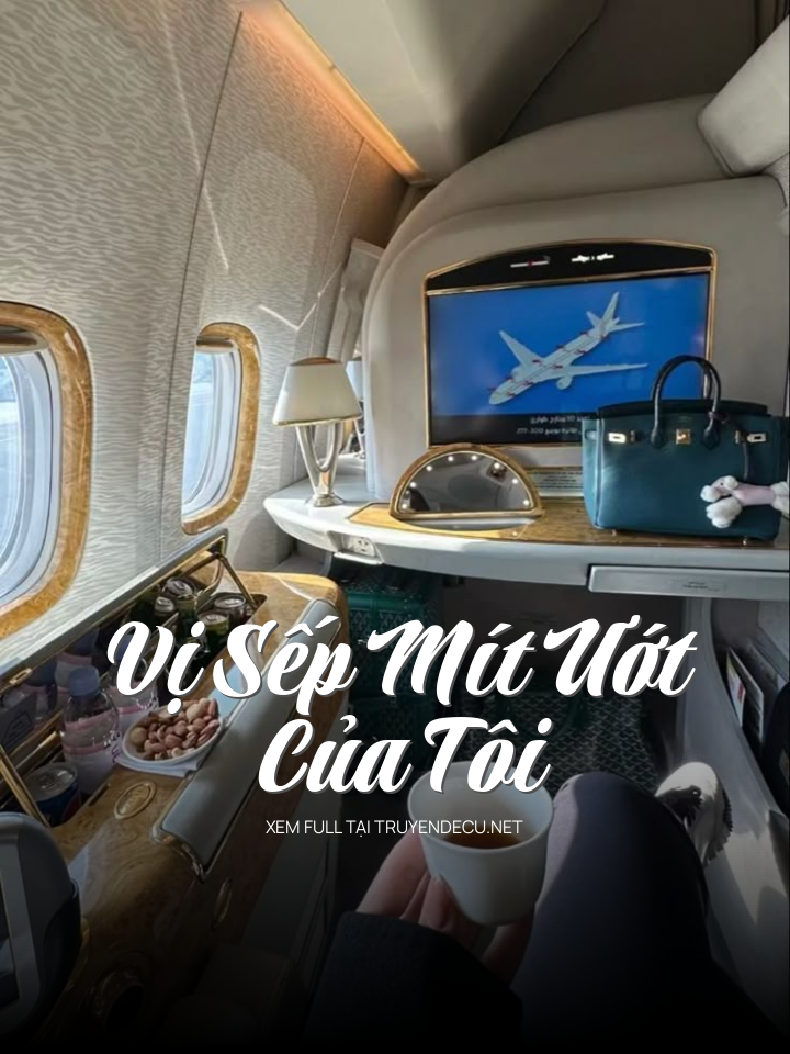 
                            Vị Sếp Mít Ướt Của Tôi