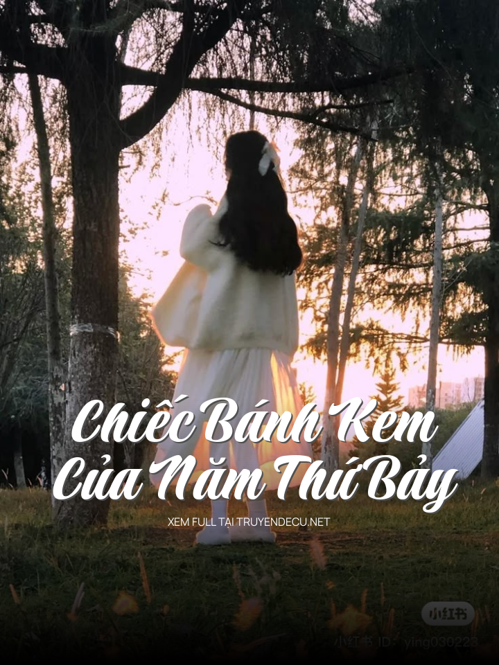 
                            Chiếc Bánh Kem Của Năm Thứ Bảy
