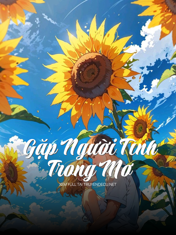 Gặp Người Tình Trong Mơ