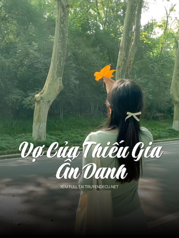 
                            Vợ Của Thiếu Gia Ẩn Danh