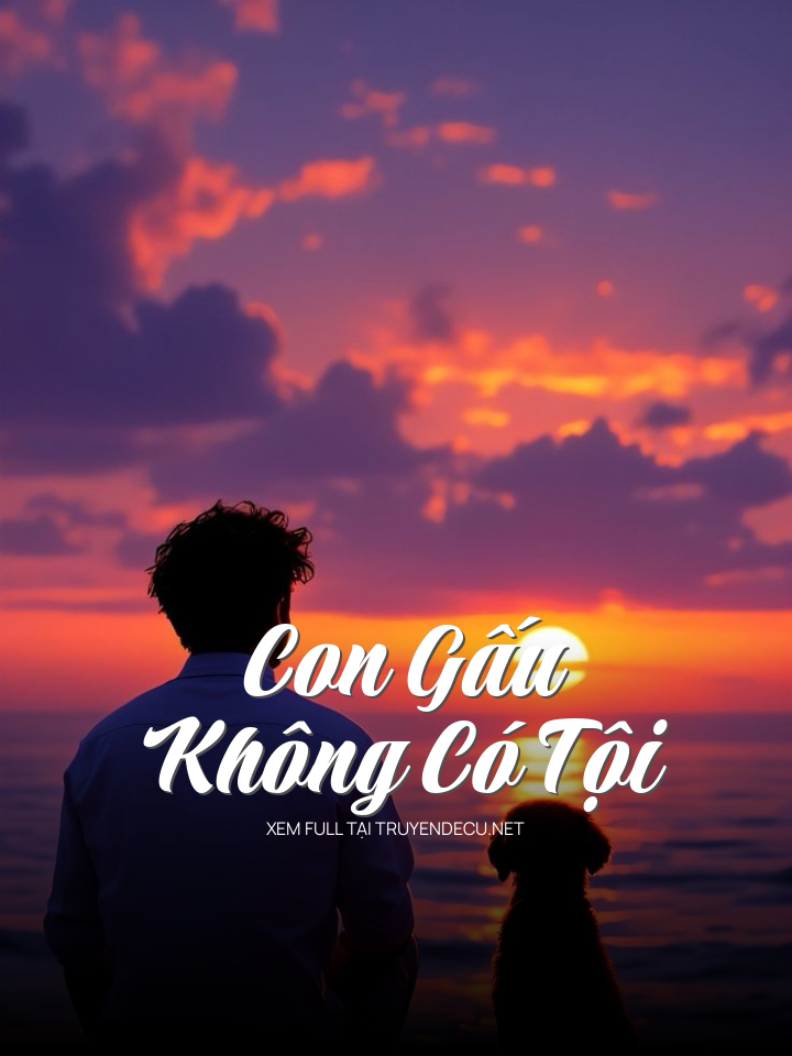 
                            Con Gấu Không Có Tội