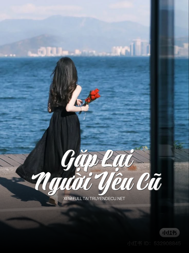 Gặp Lại Người Yêu Cũ