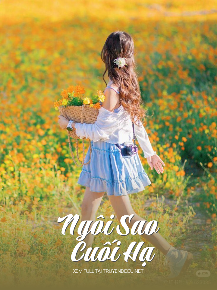 
                            Ngôi Sao Cuối Hạ
