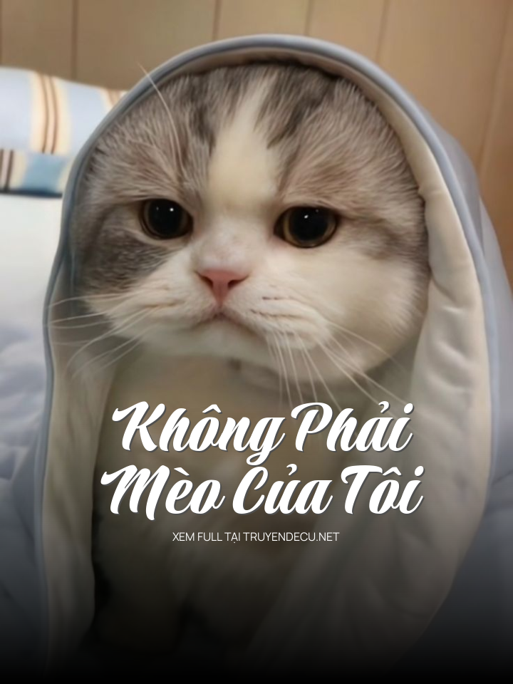 Không Phải Mèo Của Tôi