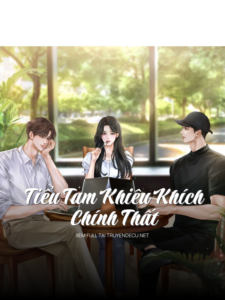 
                            Tiểu Tam Khiêu Khích Chính Thất