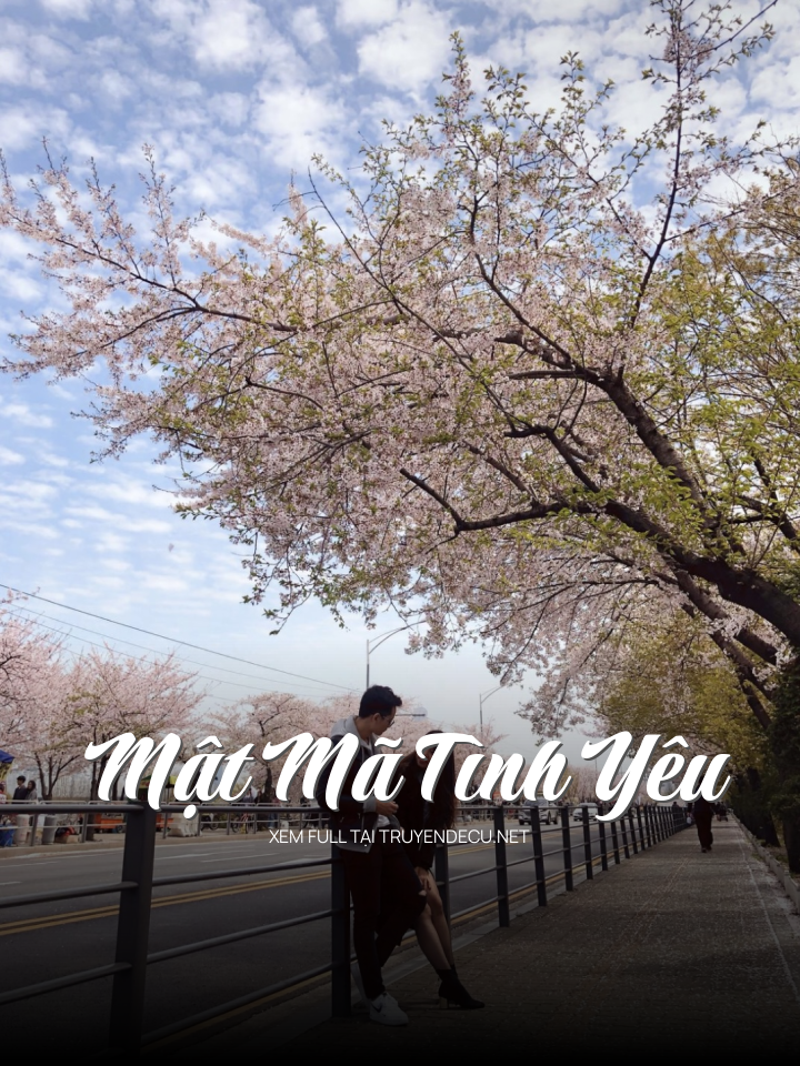Mật Mã Tình Yêu