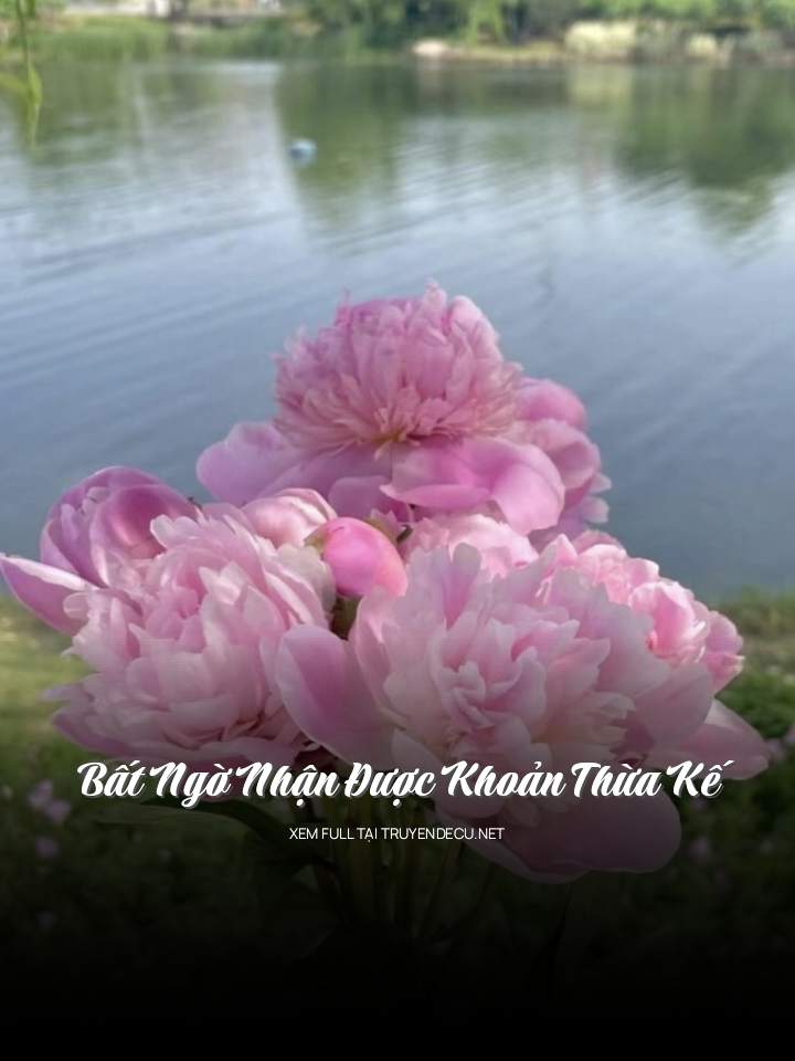 
                            Bất Ngờ Nhận Được Khoản Thừa Kế