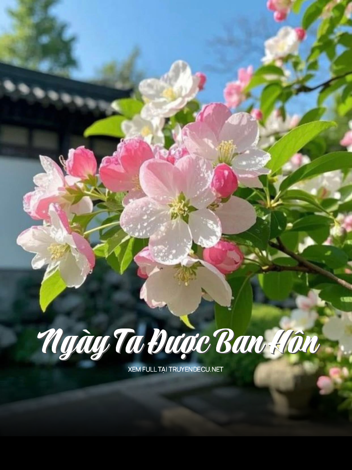 
                            Ngày Ta Được Ban Hôn