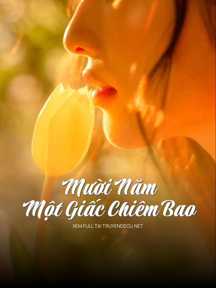 Mười Năm Một Giấc Chiêm Bao