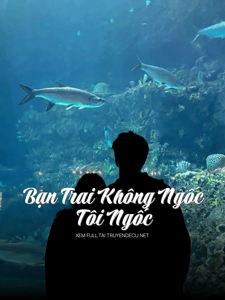 
                            Bạn Trai Không Ngốc, Tôi Ngốc