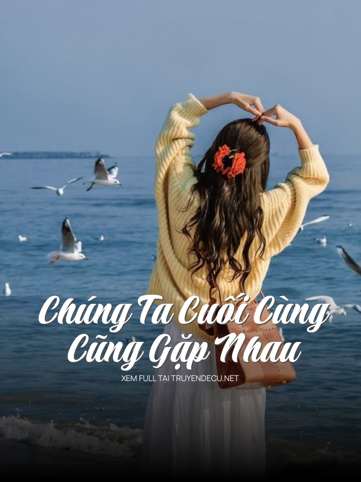 Chúng Ta Cuối Cùng Cũng Gặp Nhau