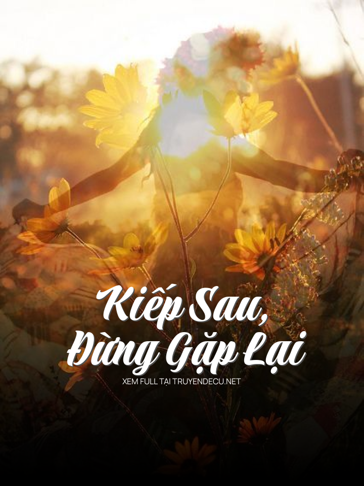 
                            Kiếp Sau, Đừng Gặp Lại