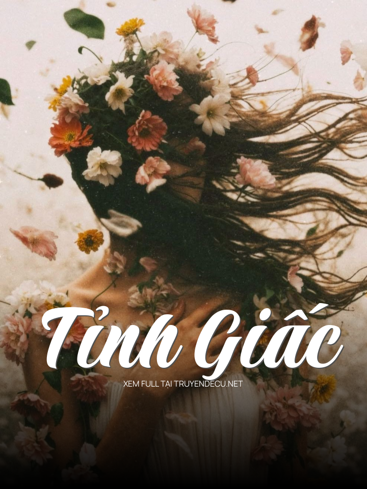 
                            Tỉnh Giấc