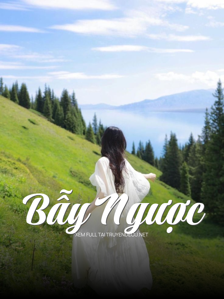 
                            Bẫy Ngược