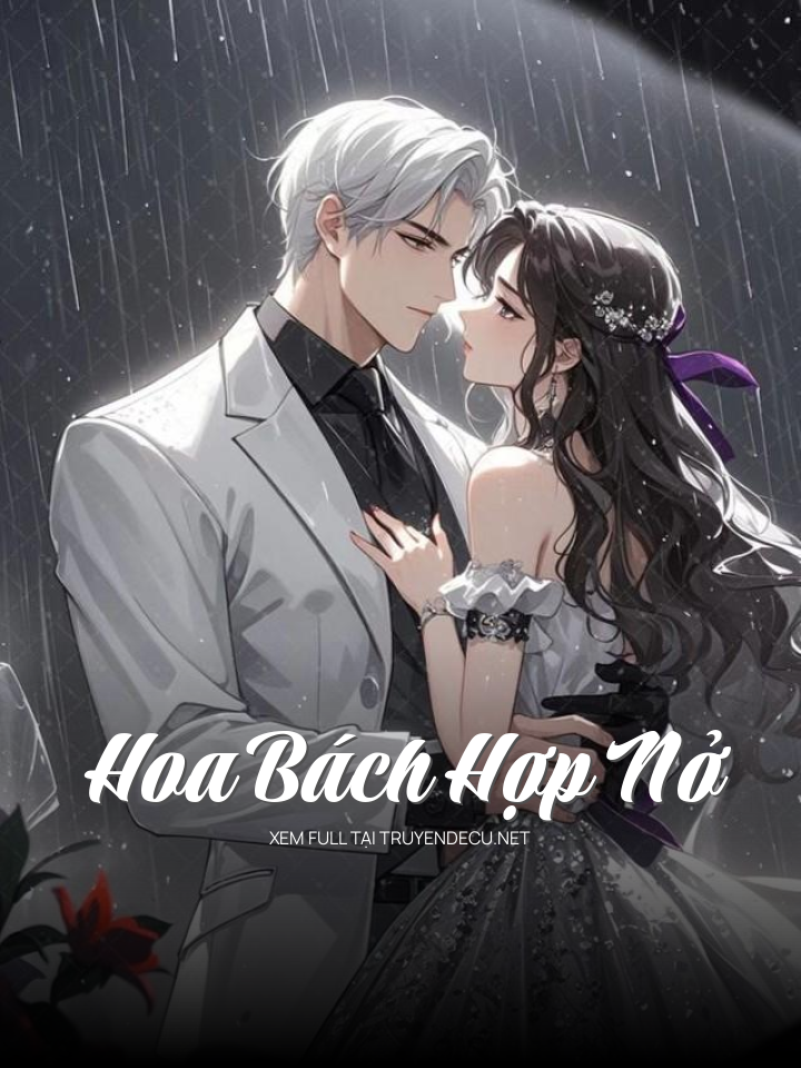 Hoa Bách Hợp Nở