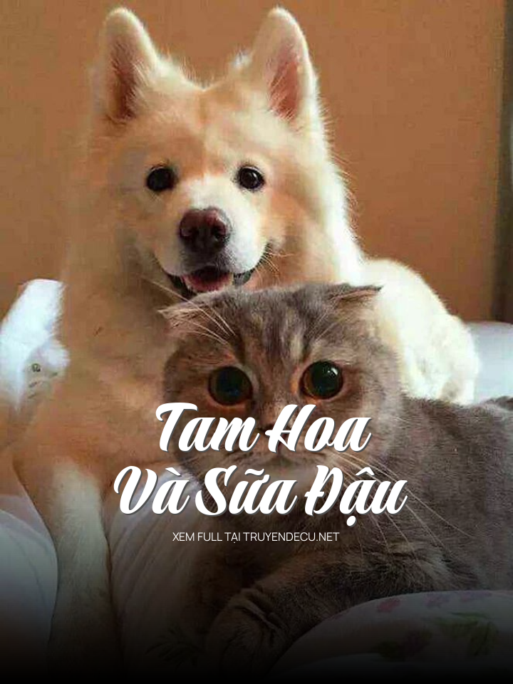 Tam Hoa Và Sữa Đậu