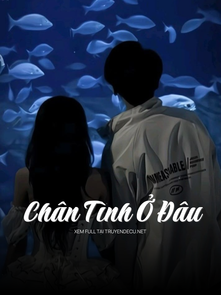 Chân Tình Ở Đâu