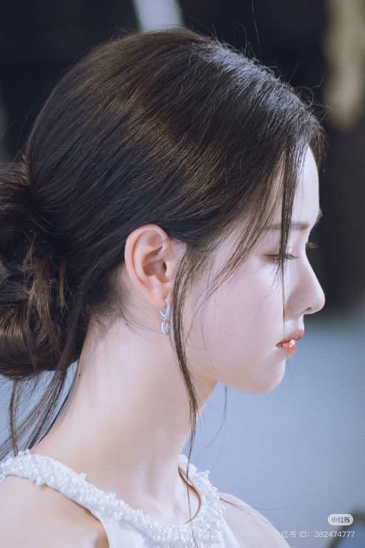 
                            Chiến Dịch Giữ Nhà